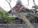 Daitoku-ji Roof