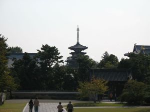Nara Yakushi-ji From North